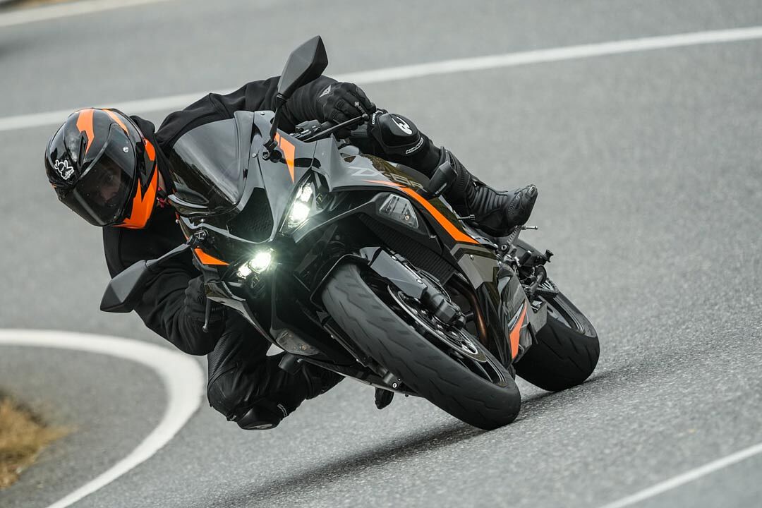 Retratos Tamayo - retratos-tamayo_-161-ts20251106145617592678.jpg