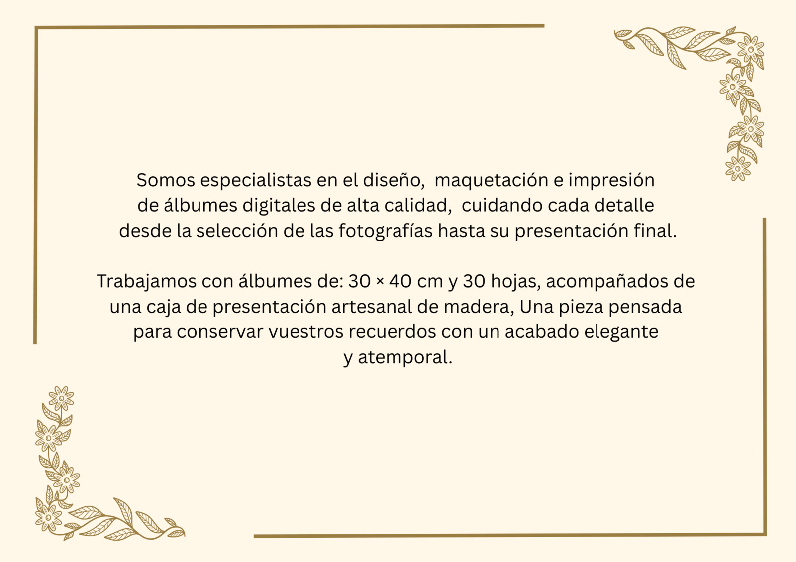 estudionce - brown-and-white-minimalist-page-border-document-a4-landscape-ts20260903125506407608.jpg