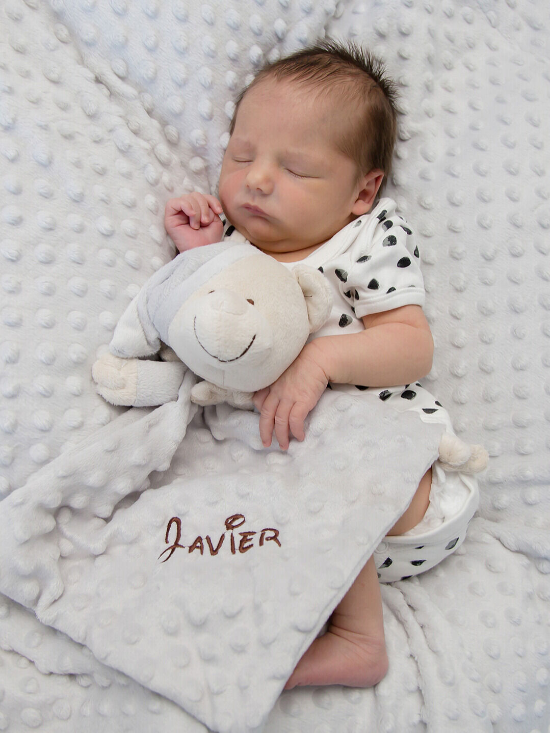 Savironi Fotografía - img-8701.jpg