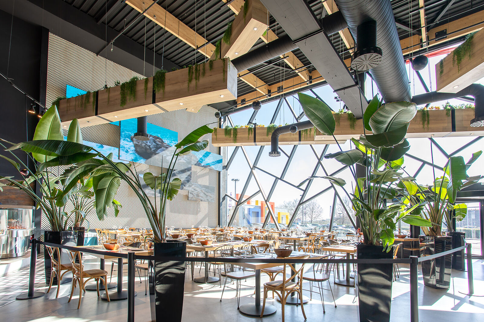 Yoly Bermúdez Fotografía - marisqueria-moreno-iii-web-5-ts20260225151952151022.jpg