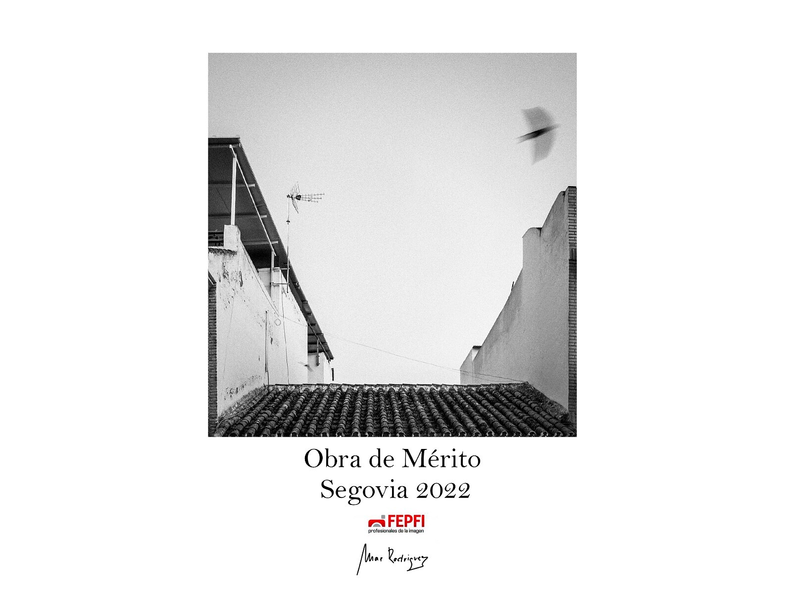 F01CFF66-8758-474B-9E39-8635EABD21DA