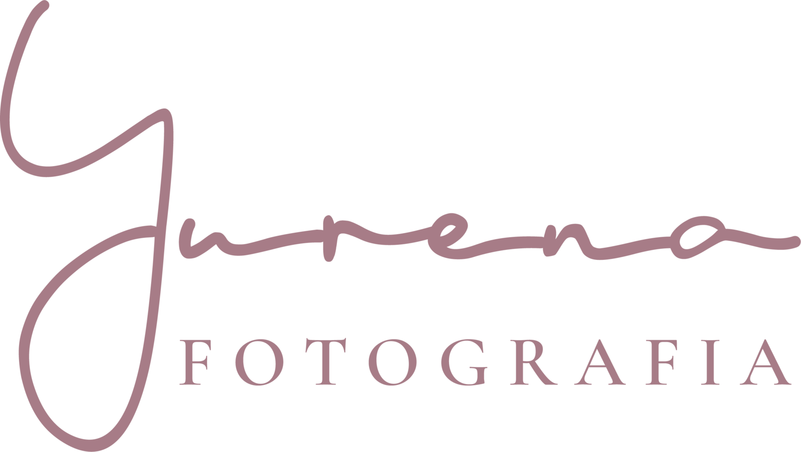 Asociación Profesional de Fotógrafos de Málaga - logo_terracota-ts20261008162806794444.png