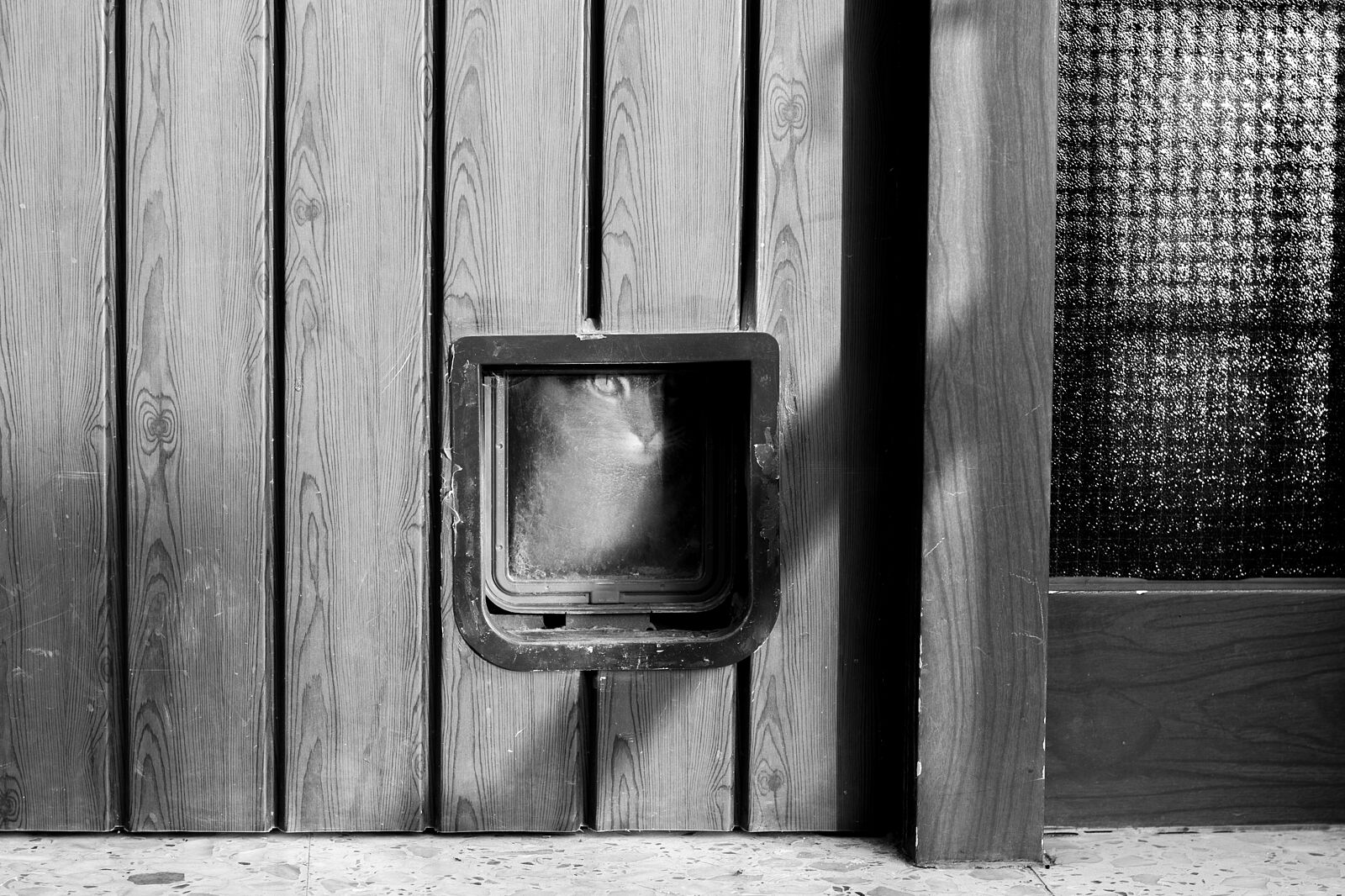 María Mateo, fotografía y danza - dia_017_mg_9164-copia-1-ts20260208191037944485.jpg