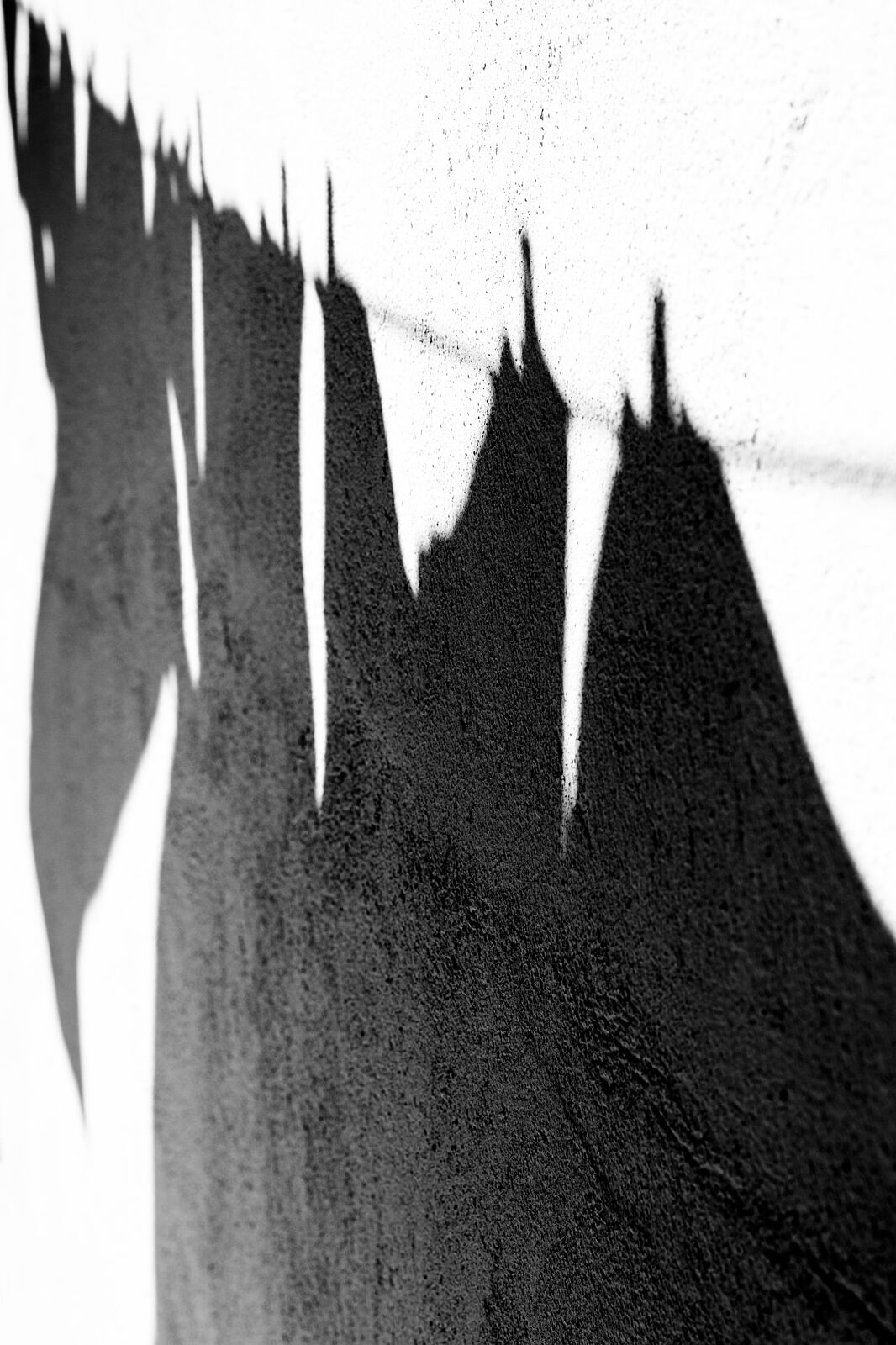 María Mateo, fotografía y danza - dia_059_mg_0927-ts20260208191007969109.jpg