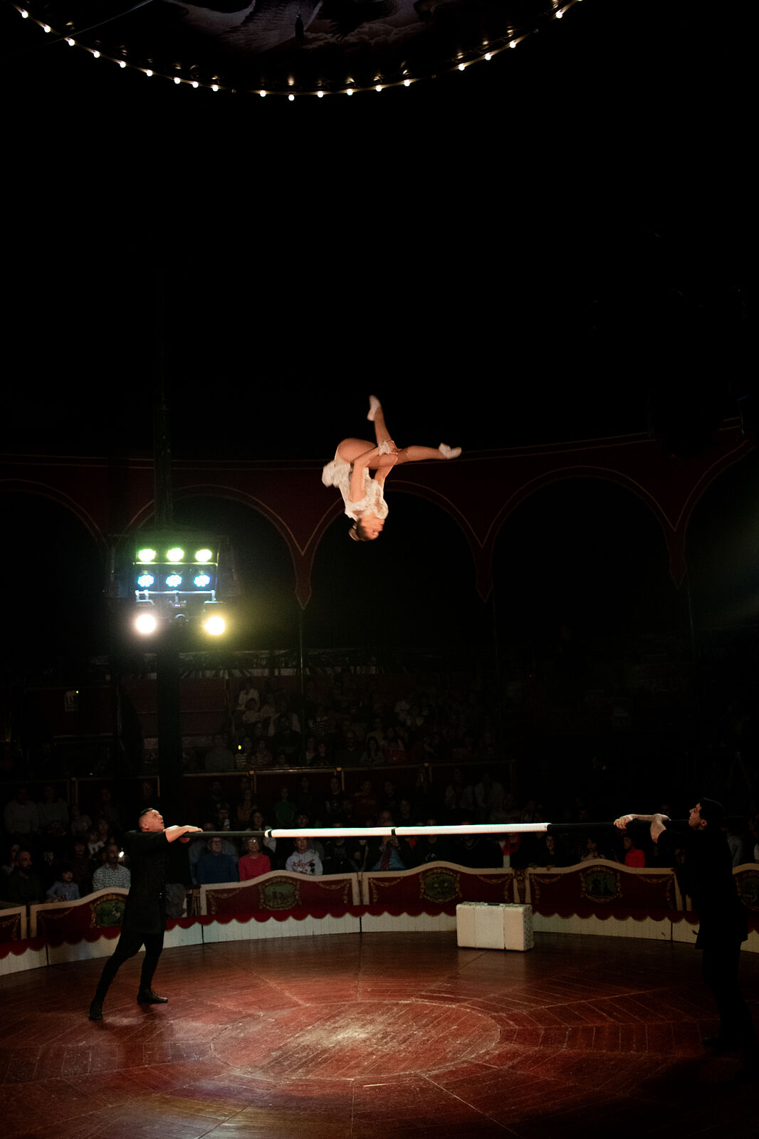 María Mateo, fotografía y danza - img_9540-ts20260208185510748669.jpg