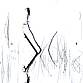 Pied kingfisher Birdlife Wildlife South Africa