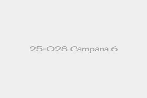 25-028 Campaña 6