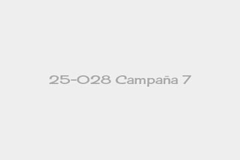 25-028 Campaña 7