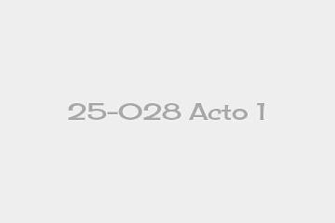 25-028 Acto 1