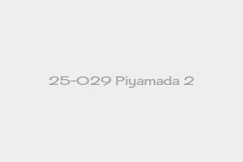 25-029 Piyamada 2