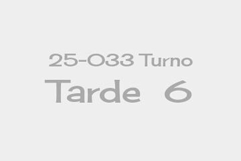 25-033 Turno Tarde  6