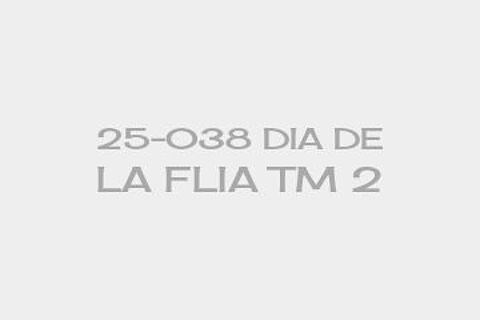 25-038 DIA DE LA FLIA TM 2