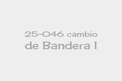 25-046 cambio de Bandera I