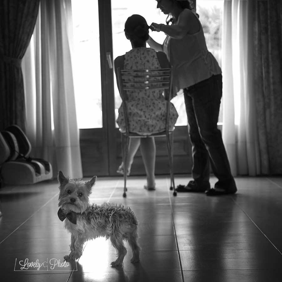 Lovelyphoto_boda_wedding-11