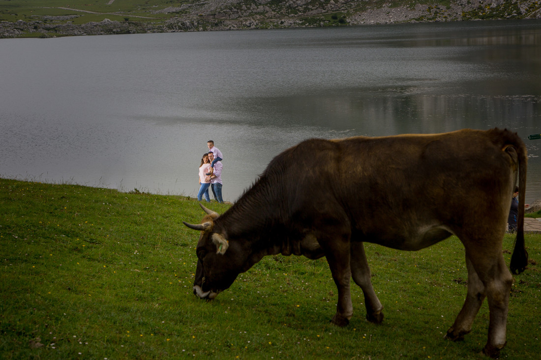 fotografos_de_familia_asturias1577