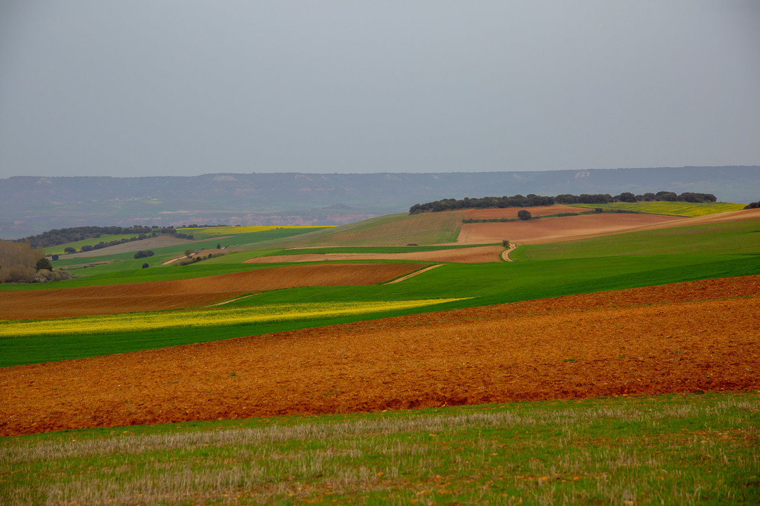 Preboda_lovelyphoto-656