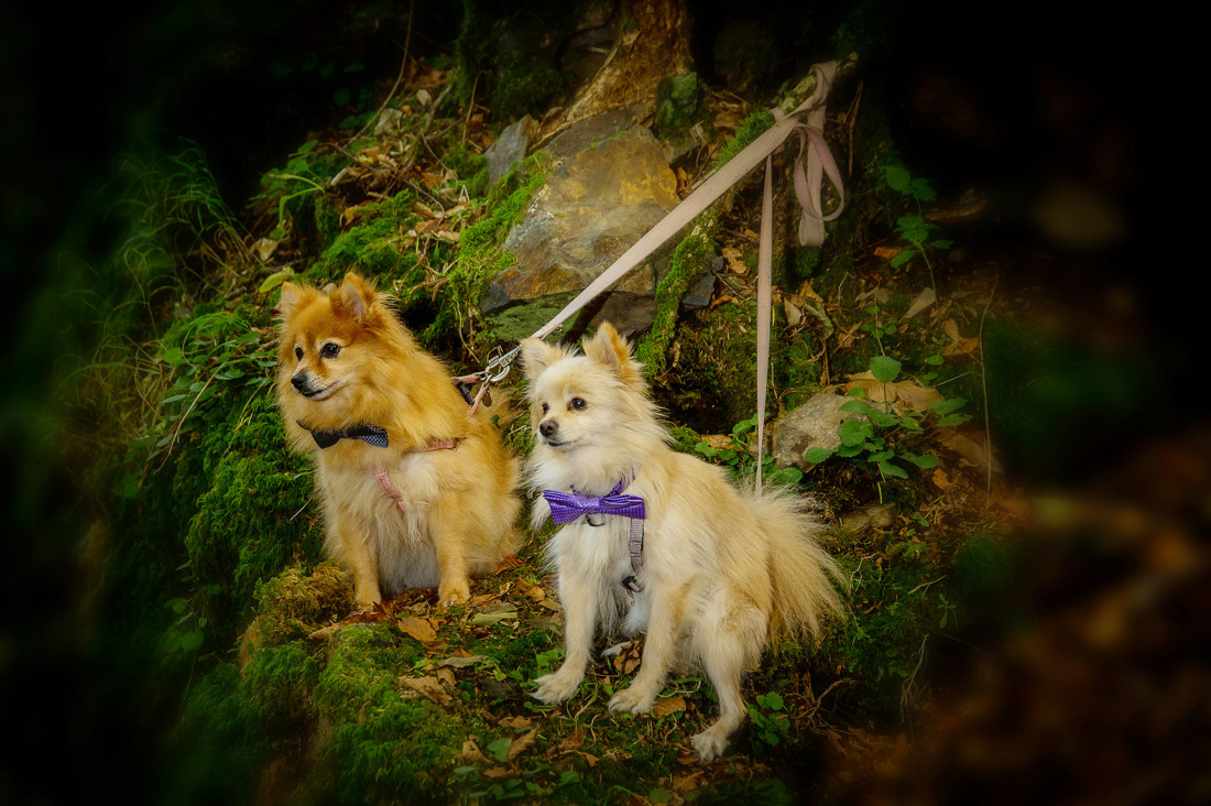 Fotografos_de_boda_navarra_lovelyphoto1037