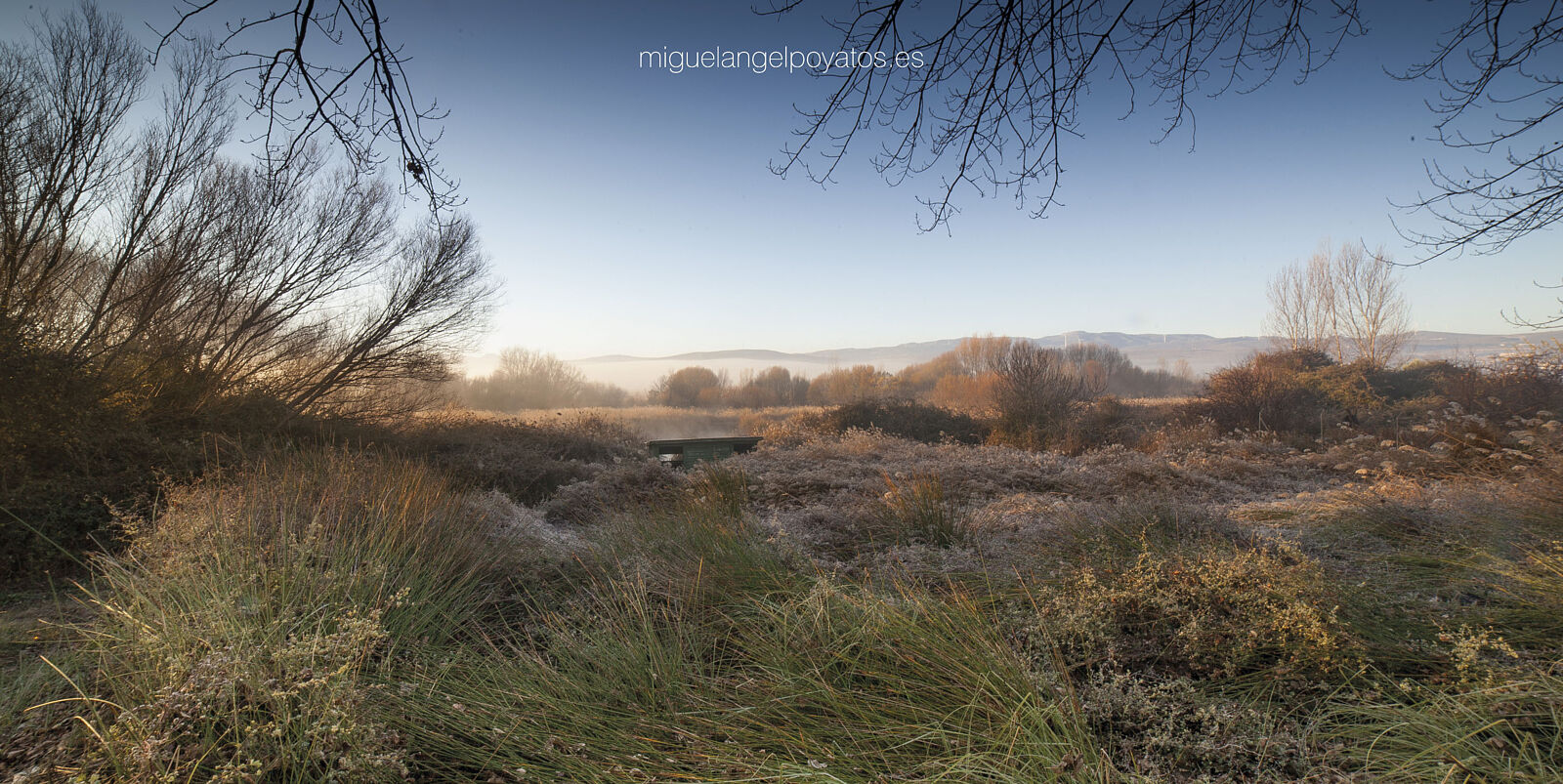 Miguel Angel Poyatos - panoramica-ts20250918105753155312.jpg