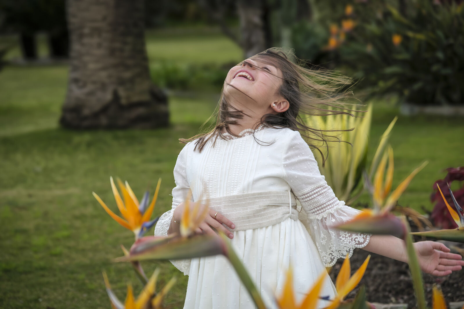 Fotógrafos De Haros - _dsf3570-mejorado-nr-ts20251022172012501808.jpg