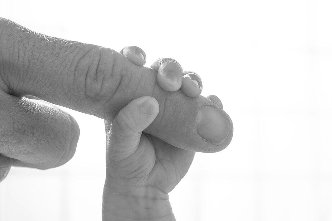 Jose Redondo - jose-redondo-fotografos-_dsf0776-bn-ts20260514101444837203.jpg