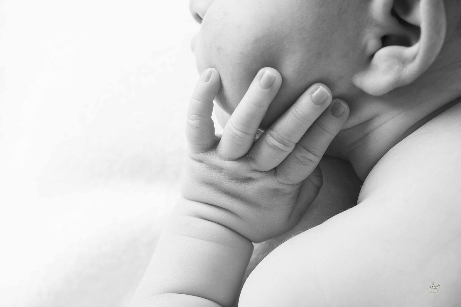 Jose Redondo - newbornmiguel-jrf0937-ts20260514100931371595.jpg