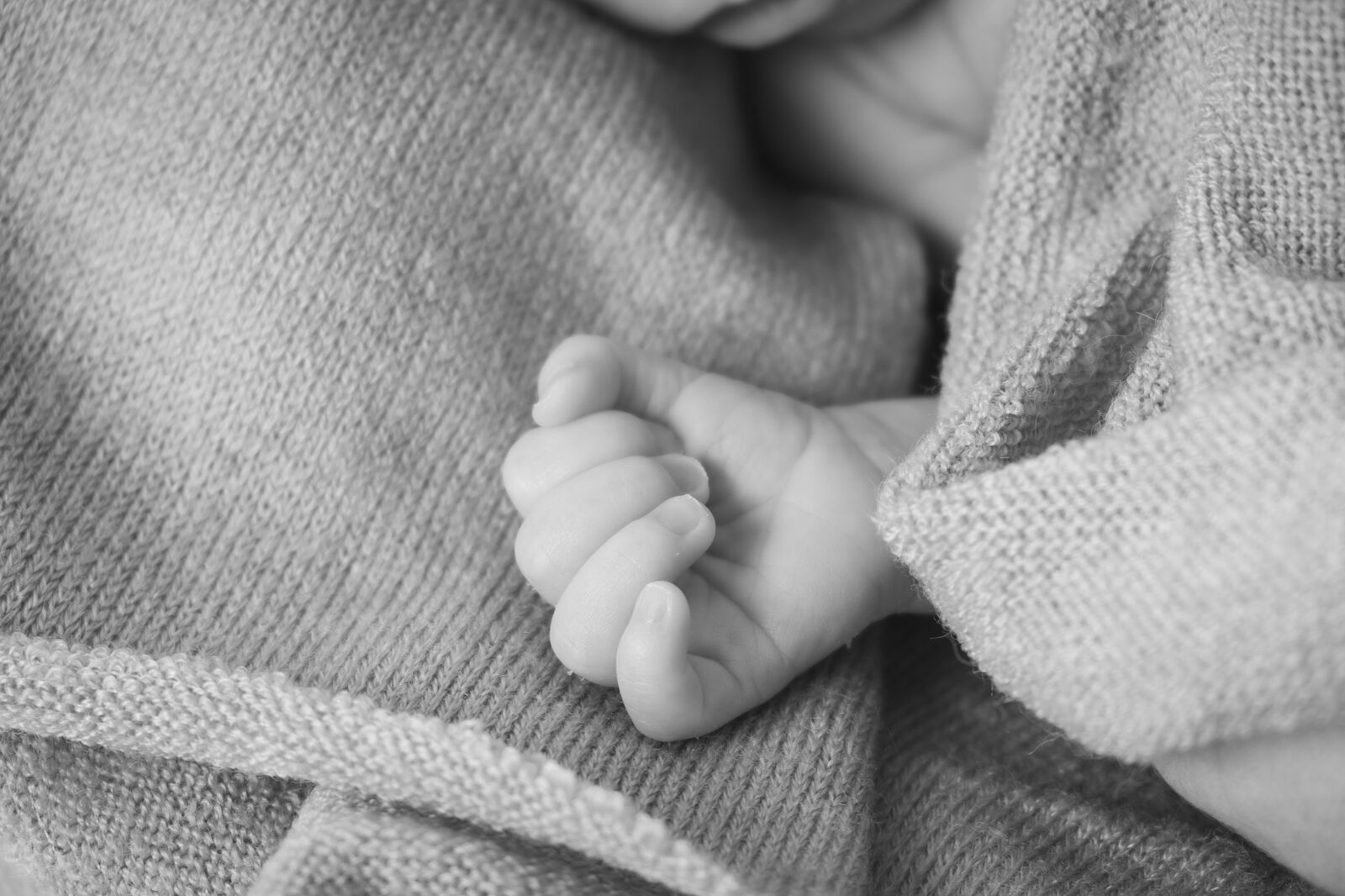 Jose Redondo - newbornsofia-jrf15-ts20260514101050520300.jpg