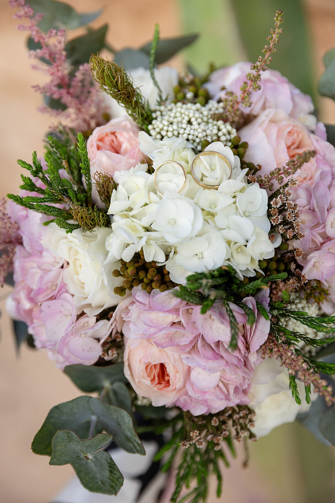 _50A0199 copia copia