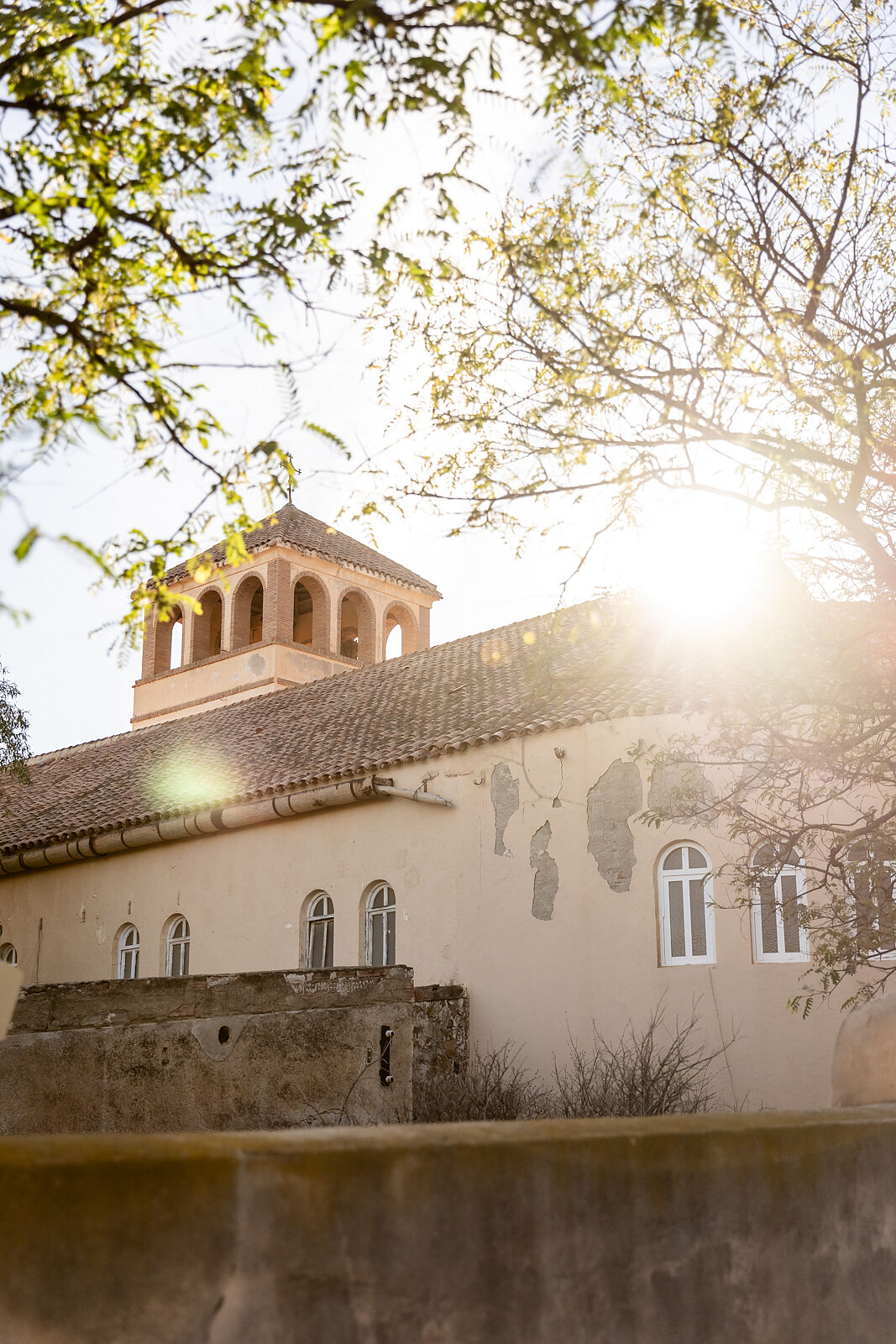 _50A0351 copia copia