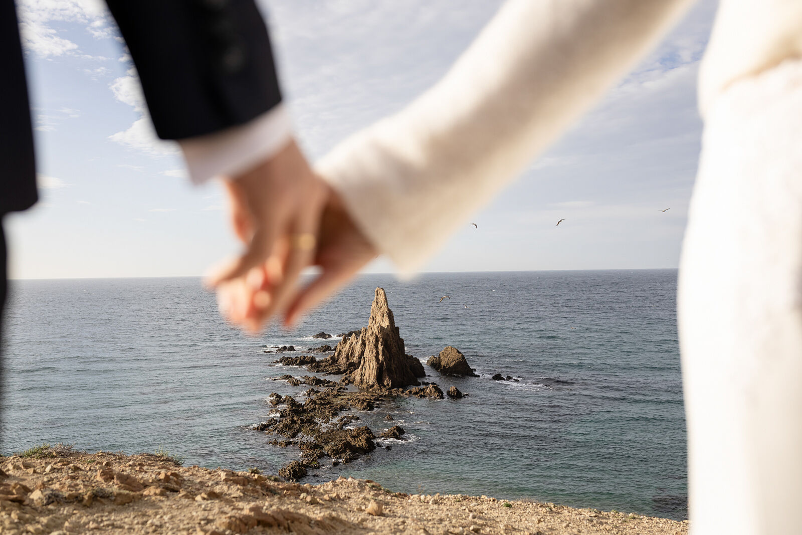 _50A8333 copia copia