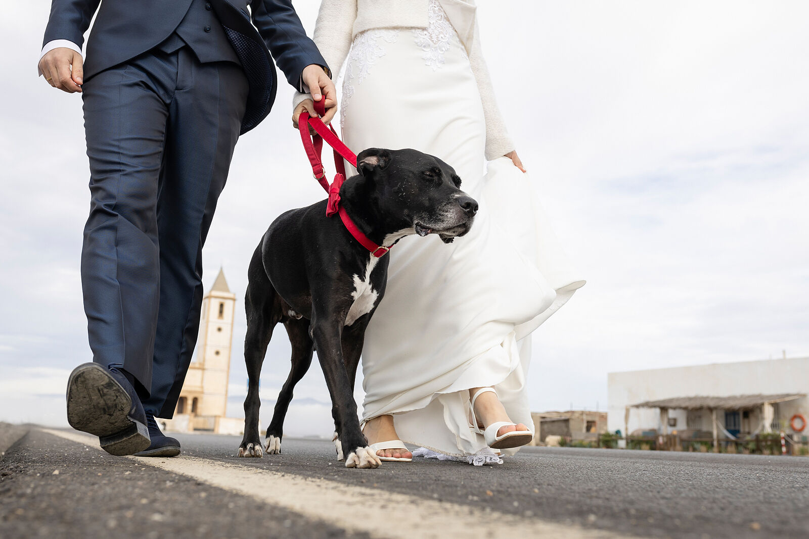 _50A8864 copia copia