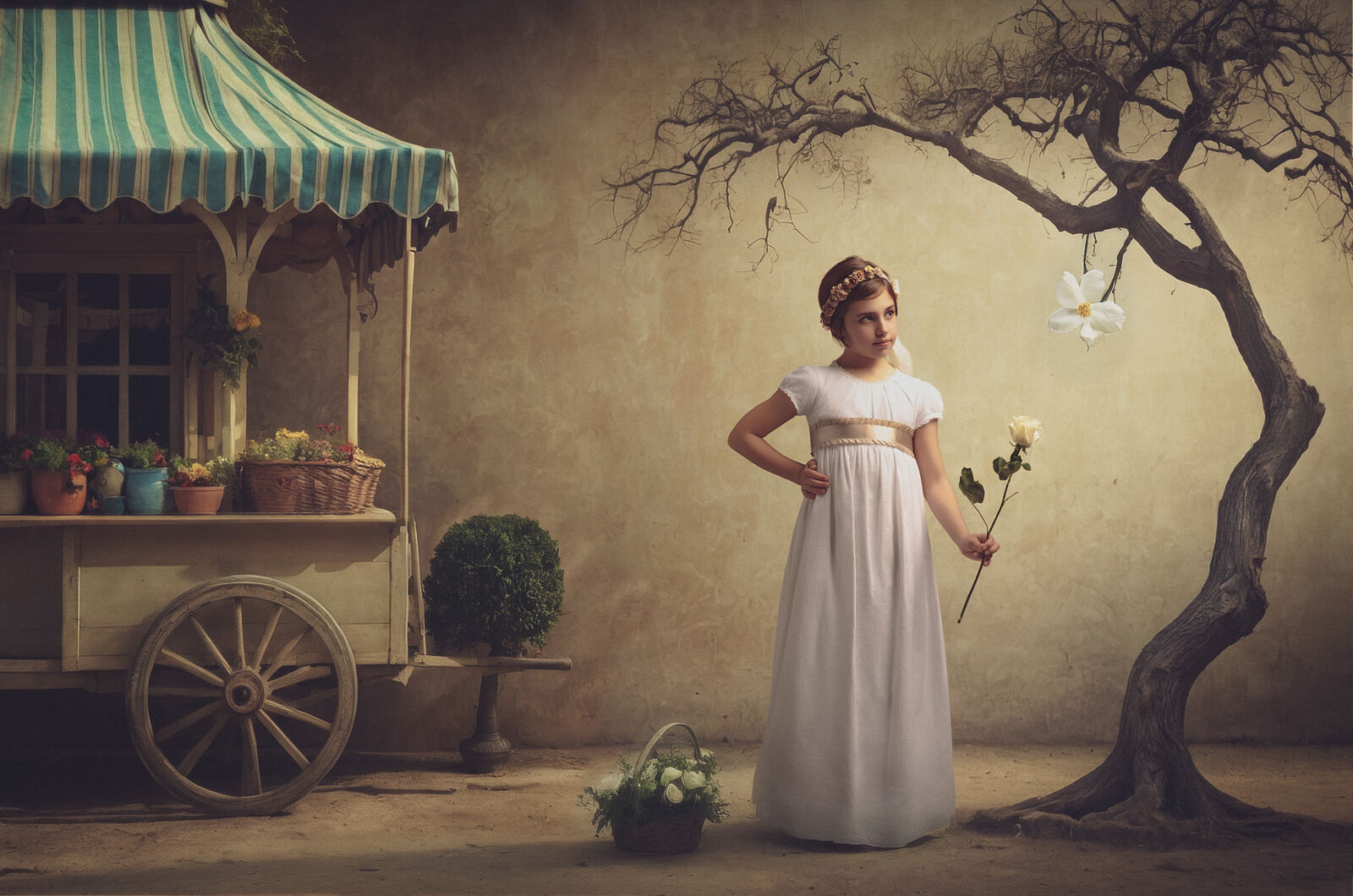 Daniel Mellado Fotografía - comunion-fine-art-nina-arbol-mallorca-ts20260105082247789487.jpg