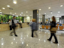 003_publicidad_fredytorra