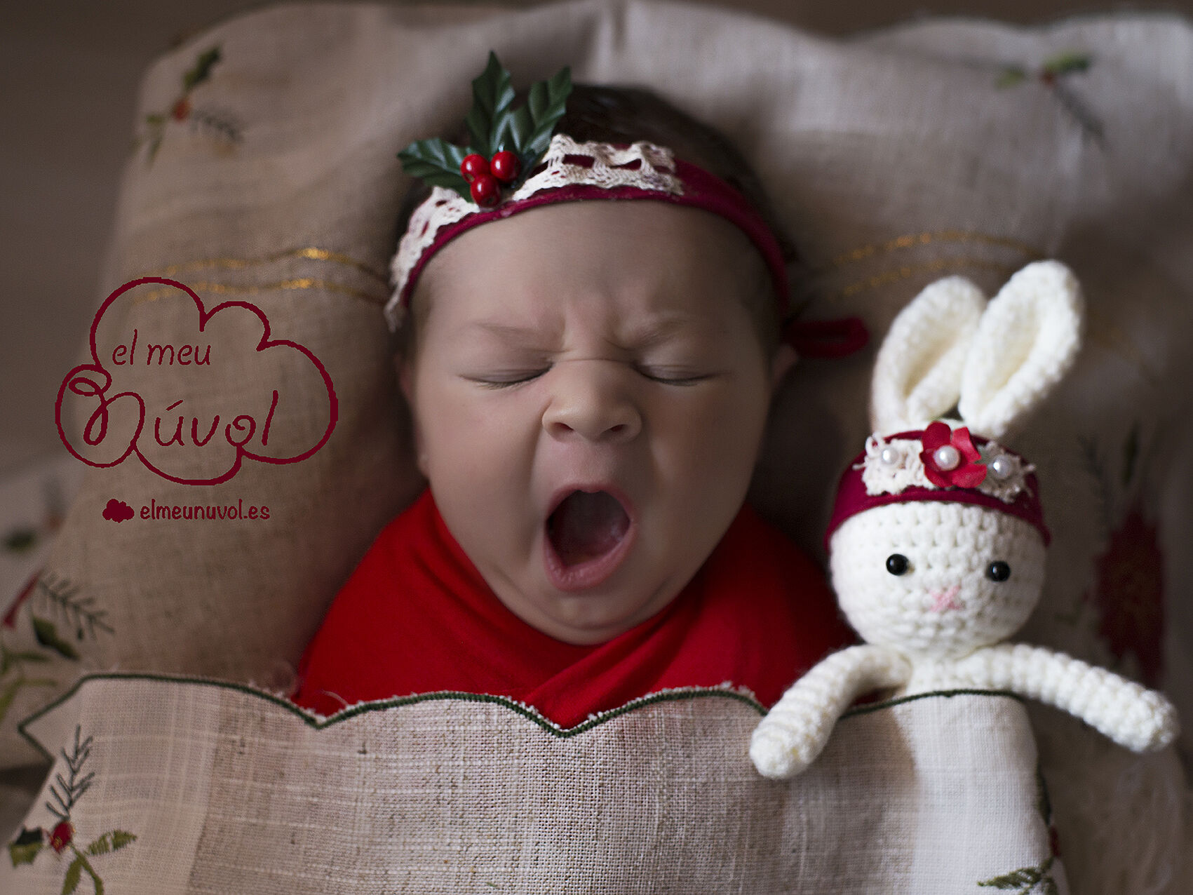 FOTOGRAFO_NEWBORN_BEBE_IGUALADA_FOTOS_EL_MEU_NUVOL_FOTOGRAFIA_RECIEN_NACIDO_INFANTIL_EMBARAZO_FAMILIA_NOUNAT_NADO_00008