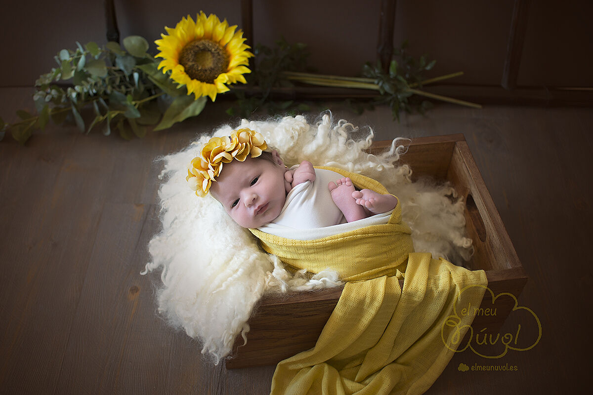 fotografía de recién nacido en igualada barcelona el meu núvol fotógrafo newborn infantil bebé nounat00028