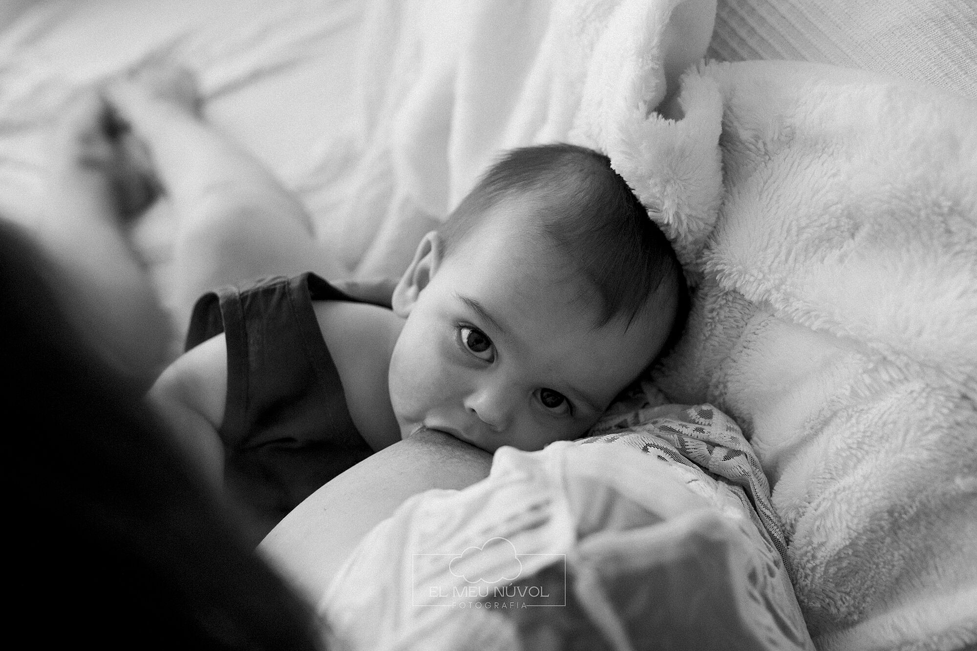 sesion de lactancia en igualada barcelona el meu nuvol fotografia piel con piel