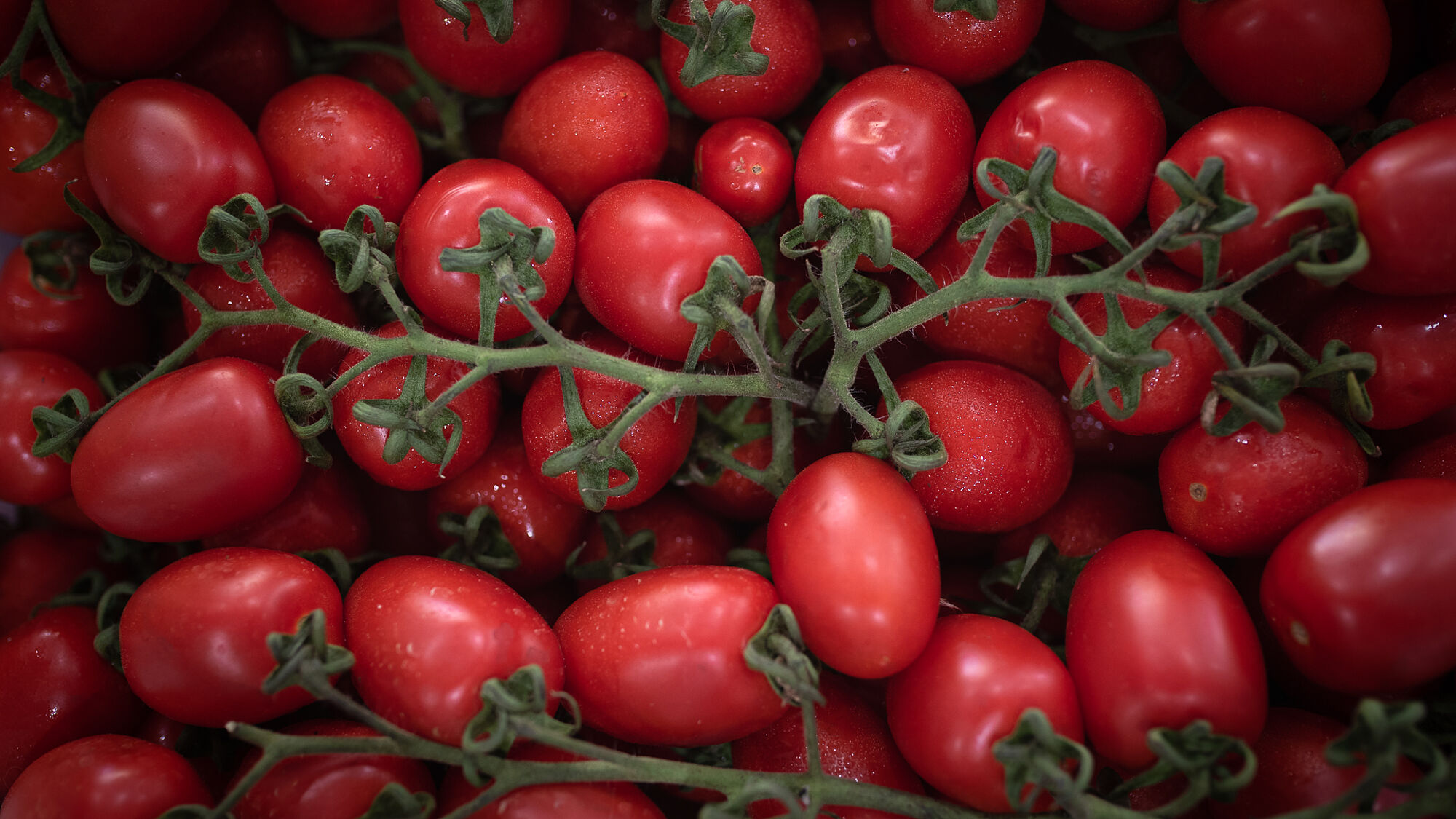Centro Frutta Castagnotto - Fotografia per aziende