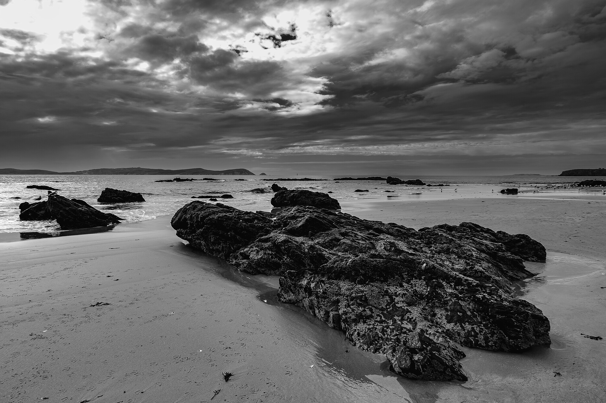 _56A2666-Editar Bascuas