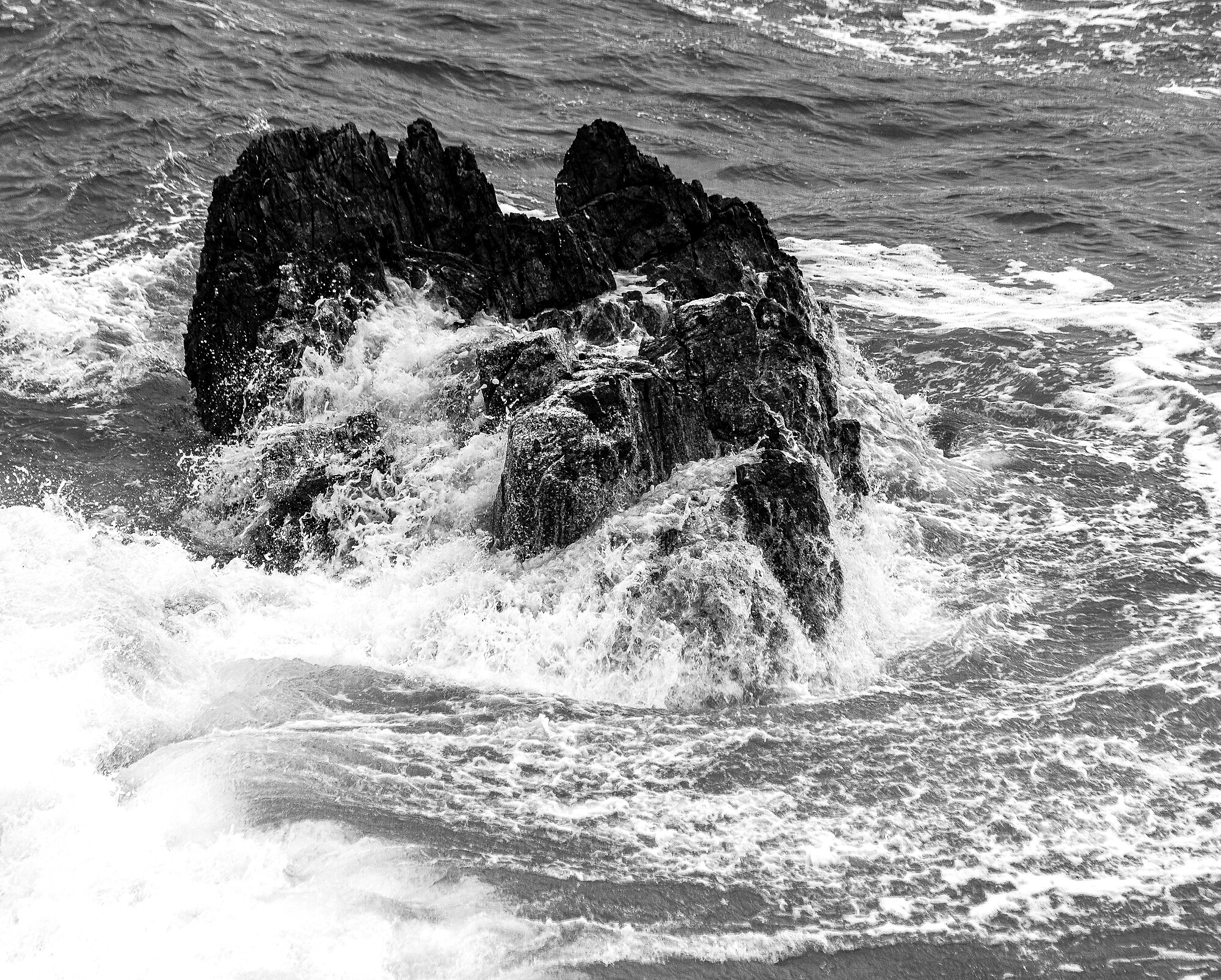 _56A4514-Editar copia