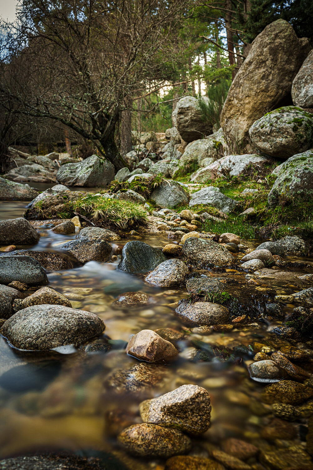 La Pedriza-0123