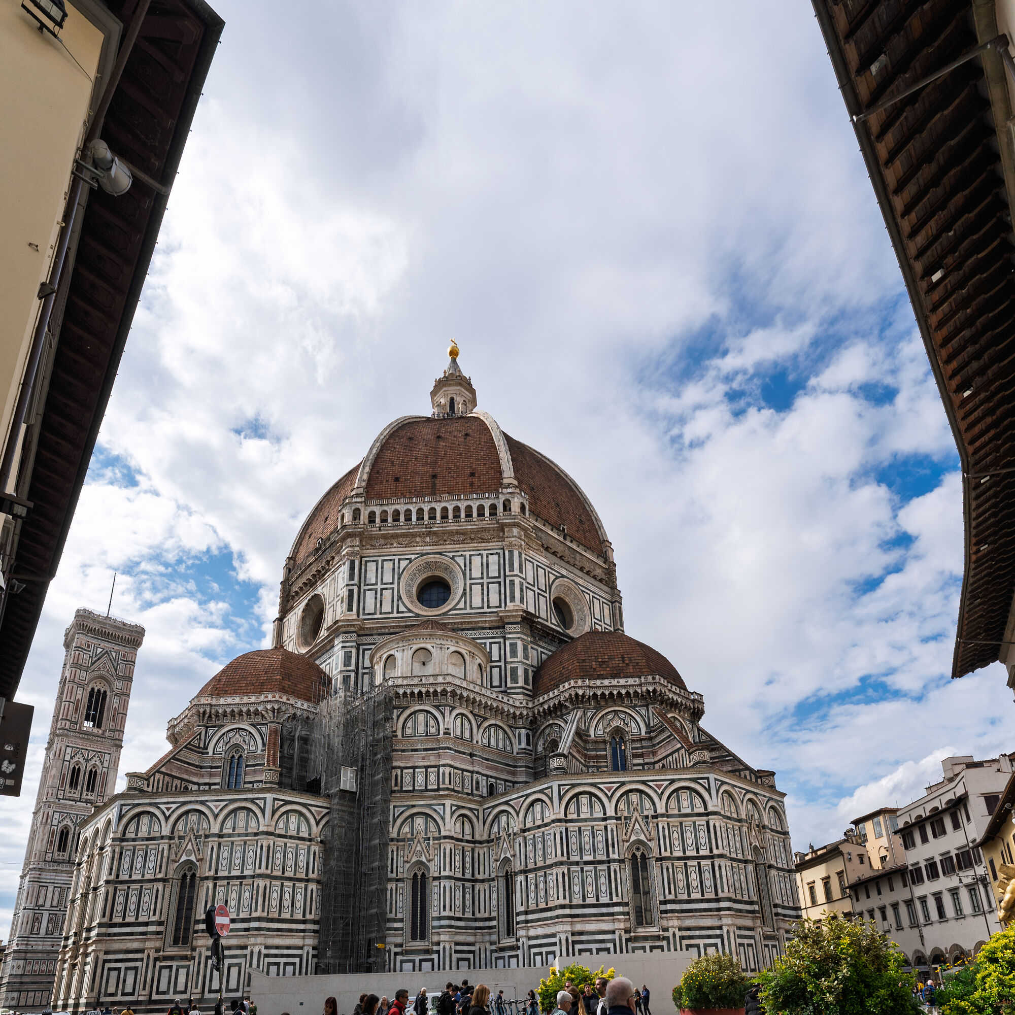 Florencia 2025-5492