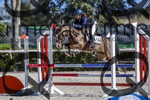 PONIS B 