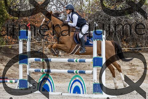 PONIS D2