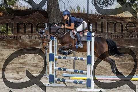PONIS C 