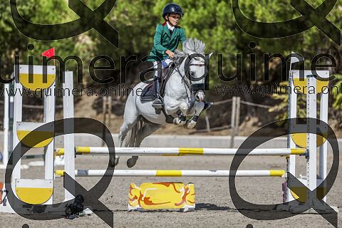 PONIS B 