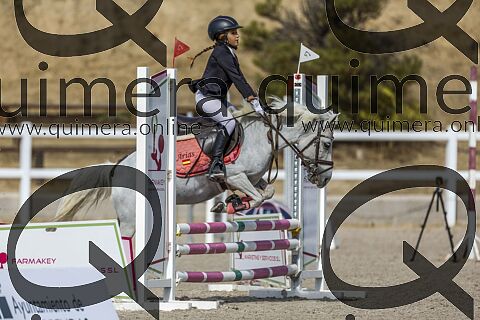 PONIS B2