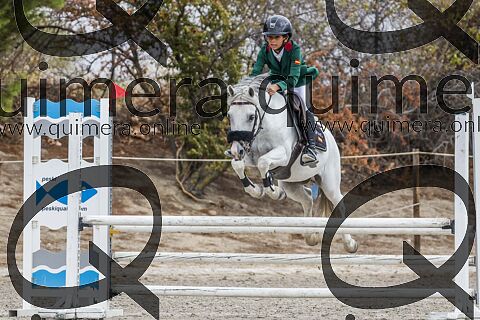 PONIS B 