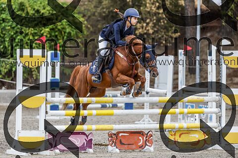 PONIS C2