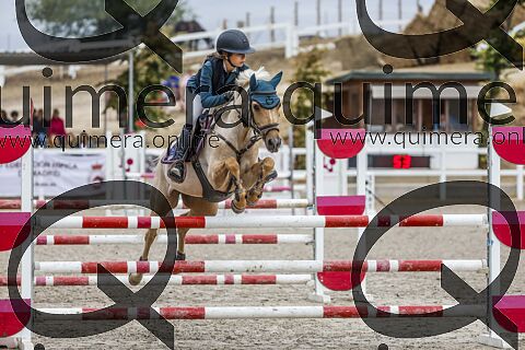 PONIS C 