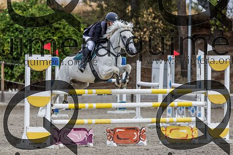 PONIS D2