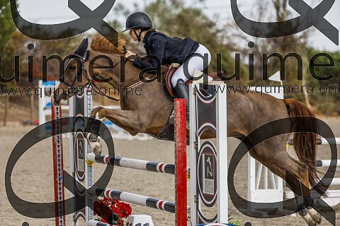 PONIS D2